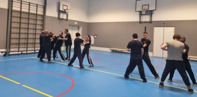 Wing Chun training
